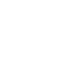 In The Zone - Dots - XLIX XF Ability - Madden NFL 26