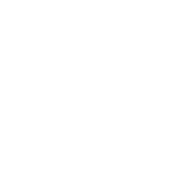 Max Security Ability - Madden NFL 26