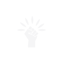 Pass Lead Elite Ability - Madden NFL 26