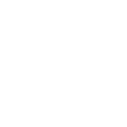 AKA - Momentum Shift XF Ability - Madden NFL 26