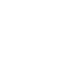 ROH - Double Me XF Ability - Madden NFL 26