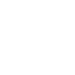 ROH - Mossed XF Ability - Madden NFL 26