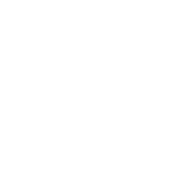 S6 - Persistent Ability - Madden NFL 26