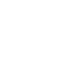 Run & Gun XF Ability - Madden NFL 26