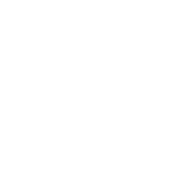 Super Bowl - Zone Hawk XF Ability - Madden NFL 26