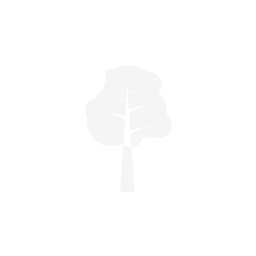 Frozen - Natural Talent Ability - Madden NFL 26