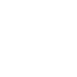 Run Protector - Bronze Ability - Madden NFL 27