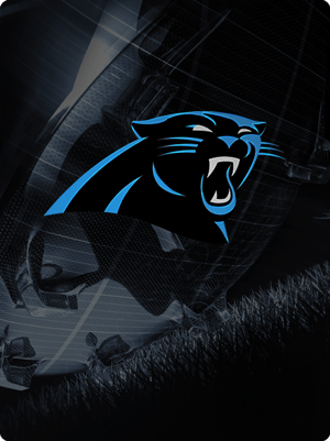 Panthers Common Strategy Item - Madden NFL 27