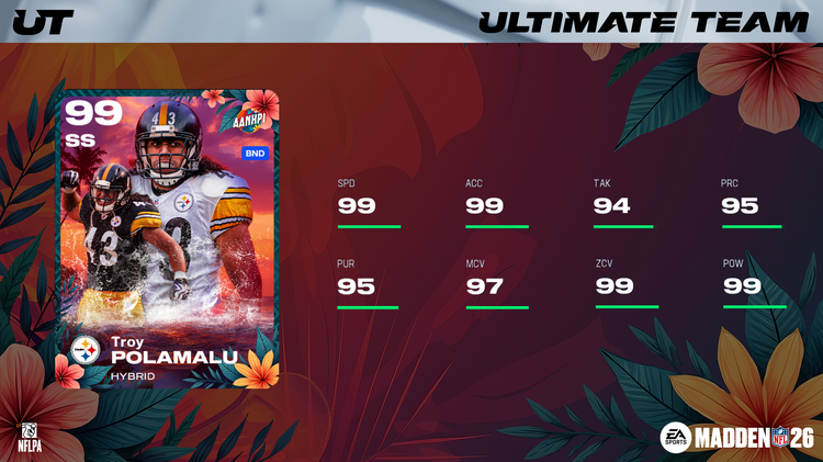 m26aa-Troy Polamalu 16x9-uydjfhbeke