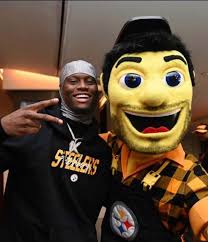 Steelers mascot ...